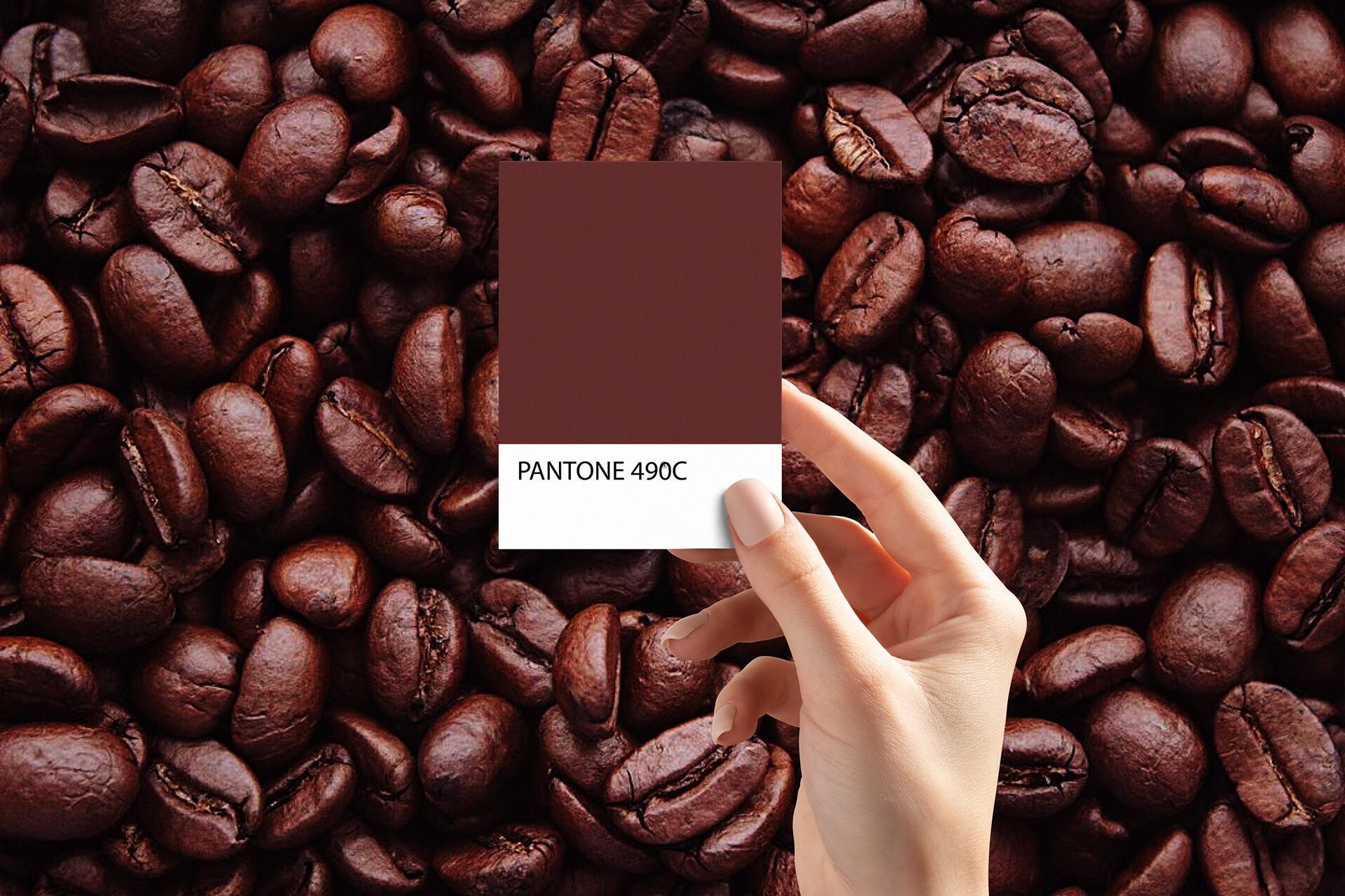 projekt opakowań i loga